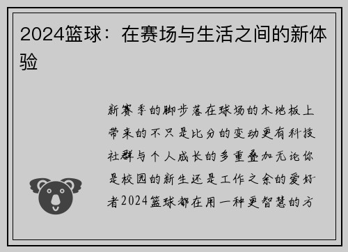 2024篮球：在赛场与生活之间的新体验
